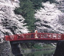 I simboli del Giappone: ciliegi in fiore dietro un ponte rosso, attraversato da una donna in abito tradizionale
